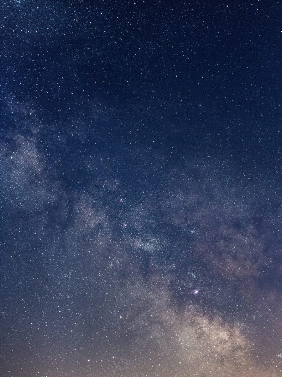 探花在线观看 App 竖屏主界面实拍：深色背景上排布着横向影片海报墙，顶部搜索框与分类标签清晰可见